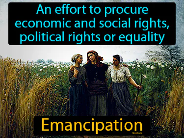 an effort to procure economic and social rights, political rights or equality