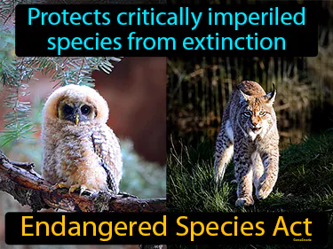 protects critically imperiled species from extinction