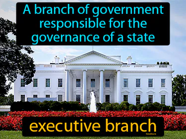 a branch of government responsible for the governance of a state