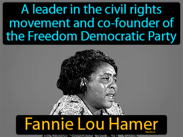 a leader in the civil rights movement and co-founder of the Freedom Democratic Party