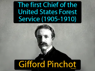 the first Chief of the United States Forest Service (1905-1910)