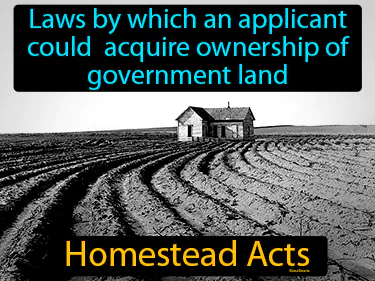 laws by which an applicant could acquire ownership of government land