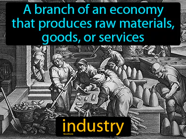 a branch of an economy that produces raw materials, goods, or services