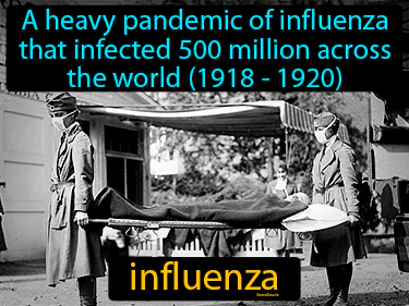 a heavy pandemic of influenza that infected 500 million across the world between 1918 and 1920