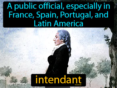 A public official, especially in France, Spain, Portugal, and Latin America