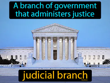 a branch of government that administers justice