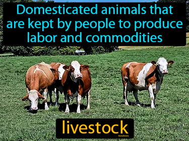 domesticated animals that are kept by people to produce labor and commodities