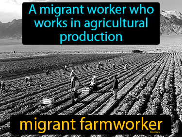 a migrant worker who works in agricultural production