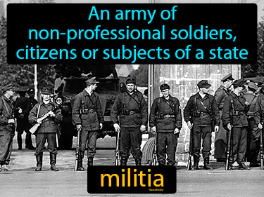 an army of non-professional soldiers, citizens or subjects of a state