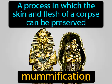 a process in which the skin and flesh of a corpse can be preserved