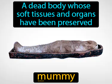 a dead body whose soft tissues and organs have been preserved