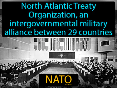 North Atlantic Treaty Organization, an intergovernmental military alliance between 29 countries