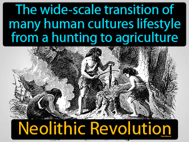 The wide-scale transition of many human cultures lifestyle from a hunting to agriculture