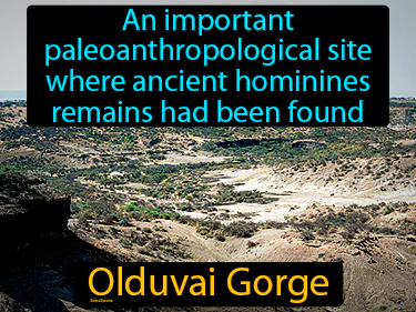 an important paleoanthropological site where ancient hominines remains had been found