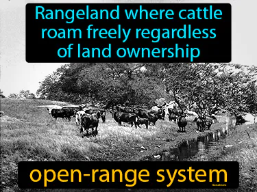 a range land where cattle roam freely regardless of land ownership