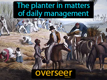 the planter in matters of daily management