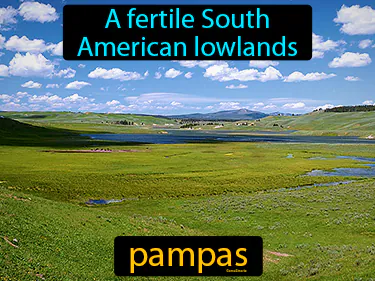 a fertile South American lowlands
