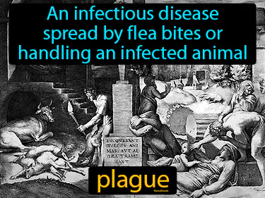 an infectious disease spread by flea bites or handling an infected animal