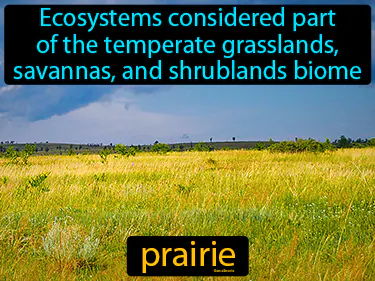 Ecosystems considered part of the temperate grasslands, savannas, and shrublands biome
