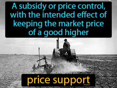 a subsidy or price control, with the intended effect of keeping the market price of a good higher