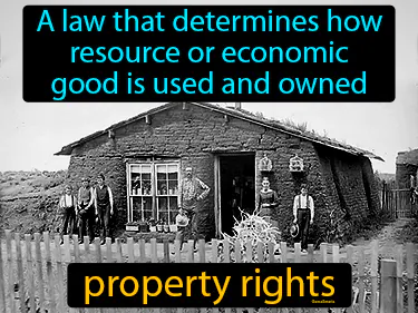 a law that determines how resource or economic good is used and owned