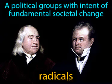 A political groups with intent of fundamental societal change