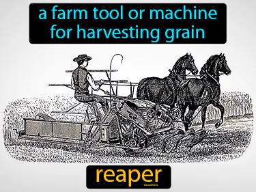 a farm tool or machine for harvesting grain