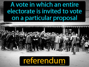 a vote in which an entire electorate is invited to vote on a particular proposal