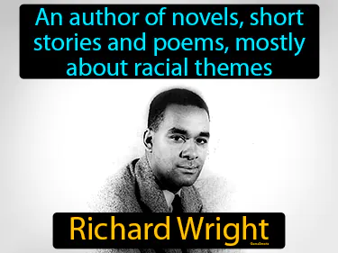 an author of novels, short stories and poems, mostly about racial themes