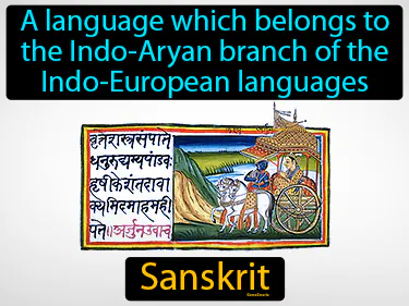 a language which belongs to the Indo-Aryan branch of the Indo-European languages