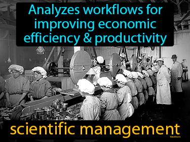 analyzes workflows for improving economic efficiency & productivity