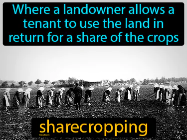 where a landowner allows a tenant to use the land in return for a share of the crops