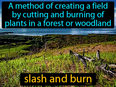 a method of creating a field by cutting and burning of plants in a forest or woodland