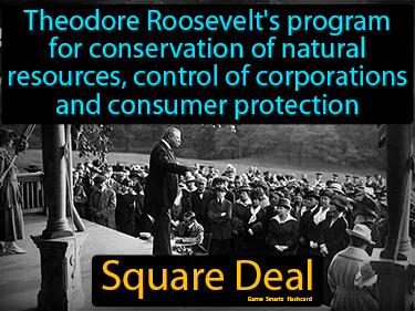 Roosevelt's program for conservation of natural resources, control of corporations and consumer protection