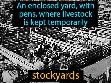 an enclosed yard, with pens, where livestock is kept temporarily