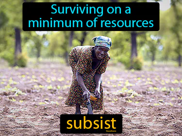 surviving on a minimum of resources