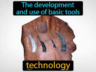the development and use of basic tools