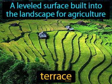 a leveled surface built into the landscape for agriculture