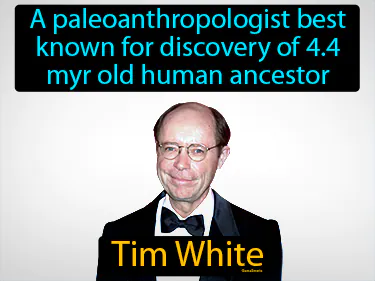 a paleoanthropologist best known for discovery of 4.4  myr old human ancestor