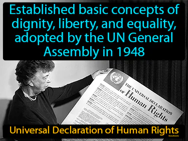 established basic concepts of dignity, liberty, and equality, adopted by the UN General Assembly in 1948