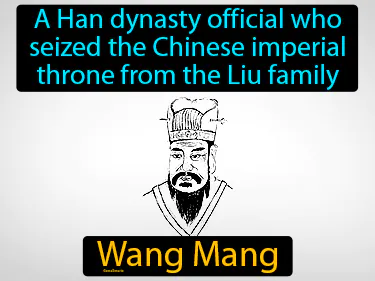 a Han dynasty official who seized the Chinese imperial throne from the Liu family