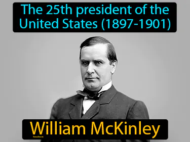 the 25th president of the United States (1897-1901)