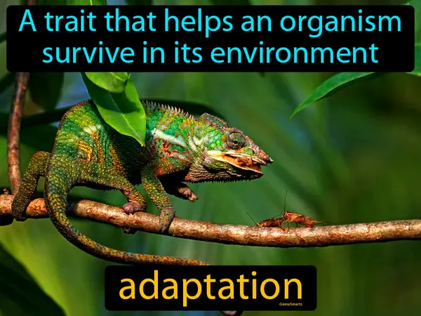 a trait that helps an organism survive in its environment