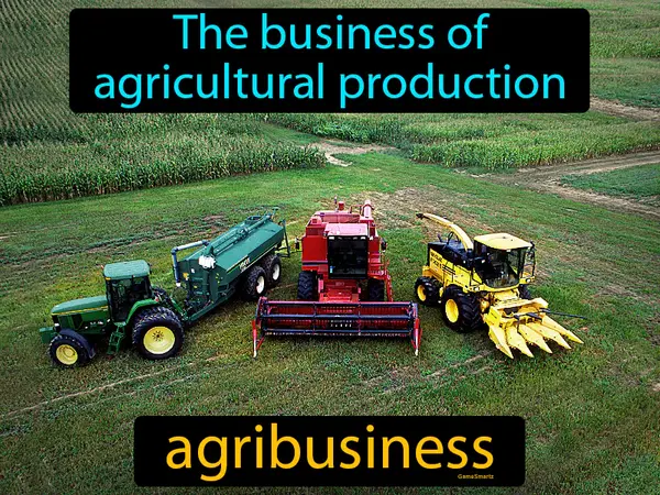 The business of agricultural production