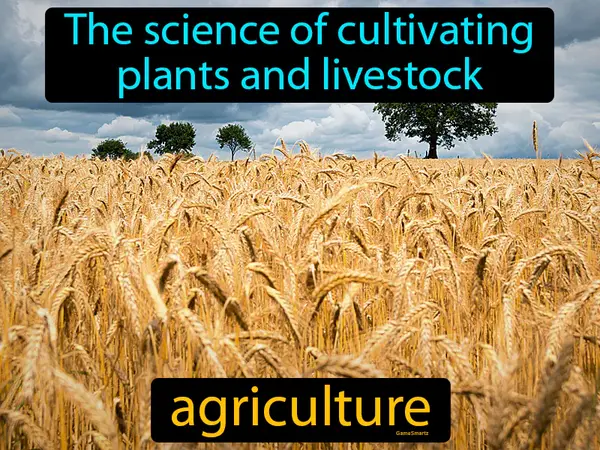 the science of cultivating plants and livestock