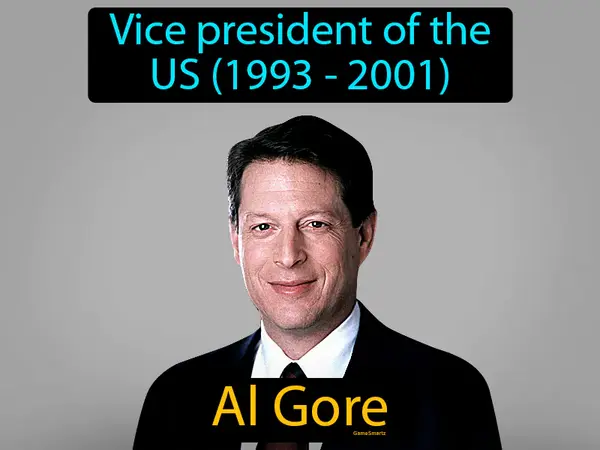 vice president of the US (1993 - 2001)