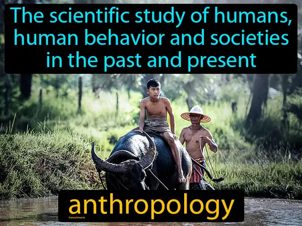 The scientific study of humans, human behavior and societies in the past and present