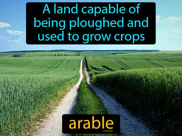 a land capable of being ploughed and used to grow crops
