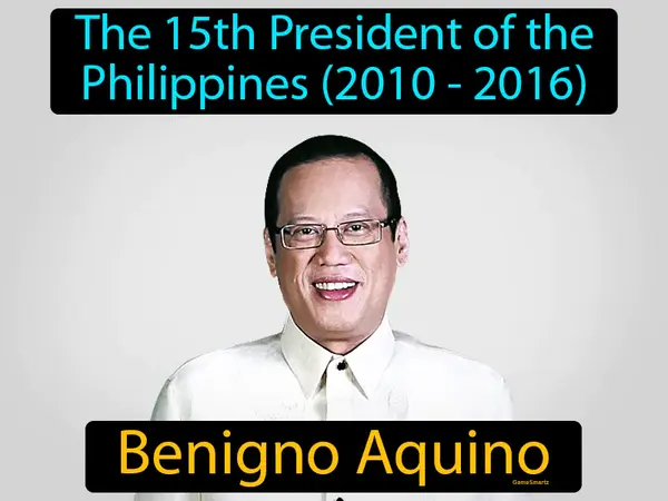 The 15th President of the Philippines (2010 - 2016)