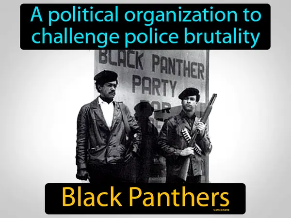 a political organization to challenge police brutality
